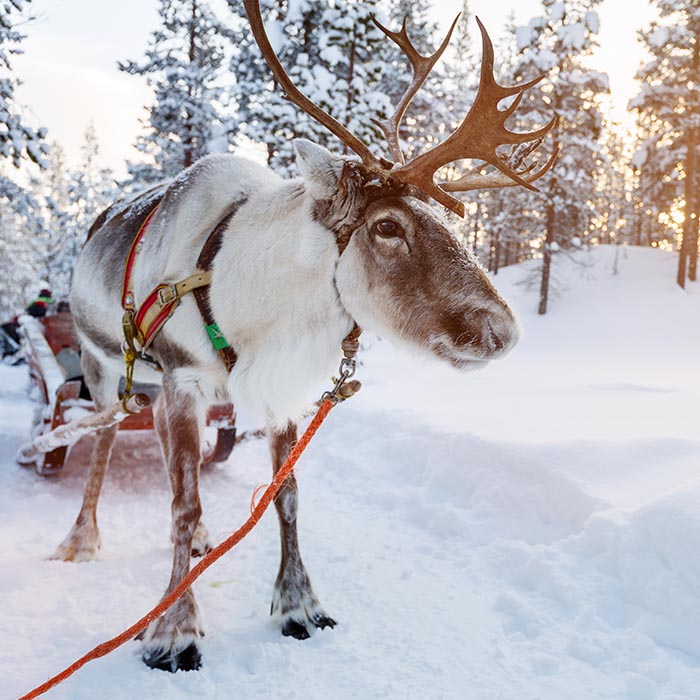 Kuusamo Finland