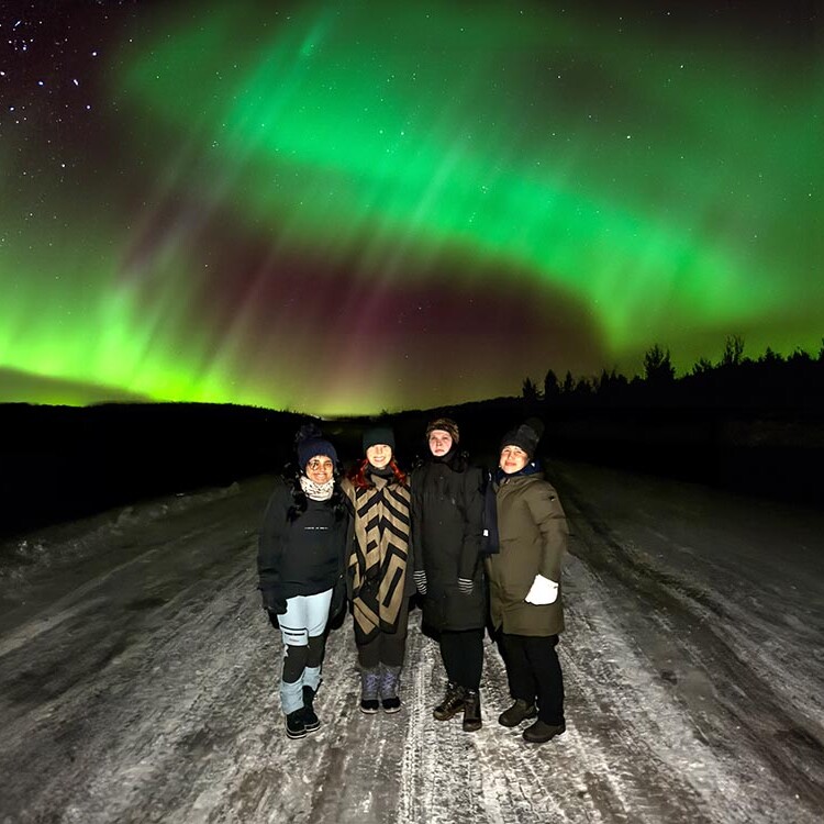 Group in Lapland