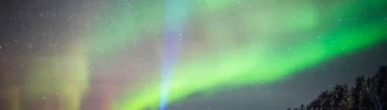 Lapland incentive